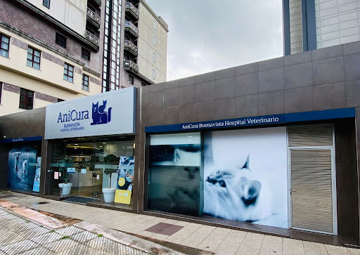 Buenavista Hospital Veterinario en Oviedo