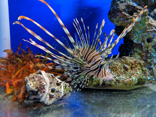 Aquarium «Oceans and Seas», reviews and photos, 26085 Gratiot Ave, Roseville, MI 48066, USA