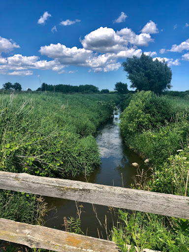 Nature Preserve «Raven Glen Forest Preserve», reviews and photos, 41080 US-45, Antioch, IL 60002, USA