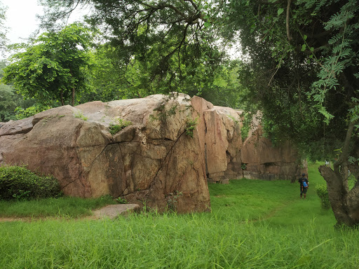 Sanjay Van