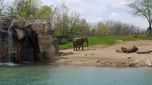 Botanical Garden «White River Gardens», reviews and photos, 1200 W Washington St, Indianapolis, IN 46222, USA