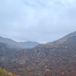 Photo n°2 de l'avis de Luana.a fait le 13/11/2021 à 14:55 sur le  Ristorante Sole à Zelbio