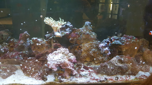 Water Park «Splash Cincinnati Water Park», reviews and photos, 11320 Chester Rd #1001, Cincinnati, OH 45246, USA