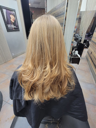 Hair Salon «Salon 297 Hair & Day Spa», reviews and photos, 4915 Harvey St, Muskegon, MI 49444, USA