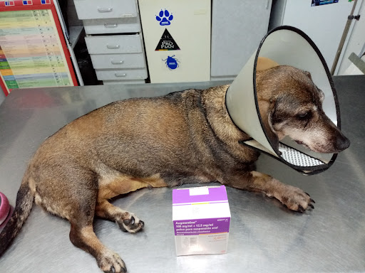 Clínica Veterinaria Duques de Nájera en Logroño