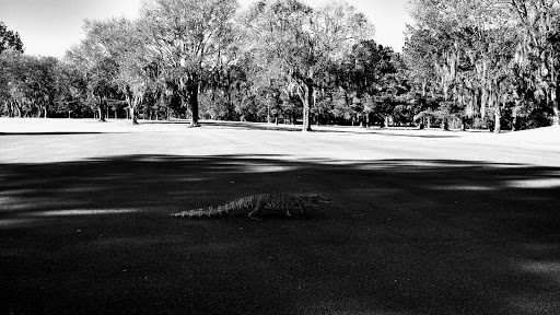 Public Golf Course «Aroostook Golf Course», reviews and photos, 1501 Dozier Rd, Montgomery, AL 36117, USA