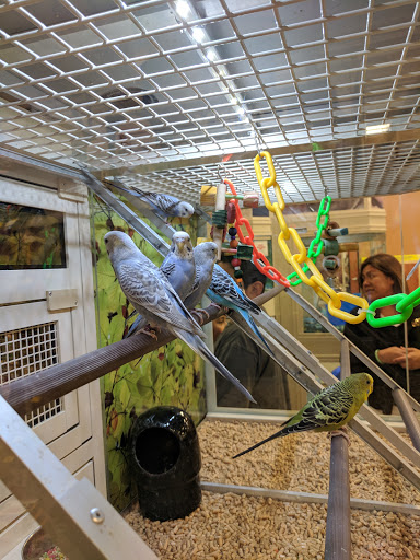 Pet Supply Store «PetSmart», reviews and photos, 2141 N Rose Ave, Oxnard, CA 93036, USA