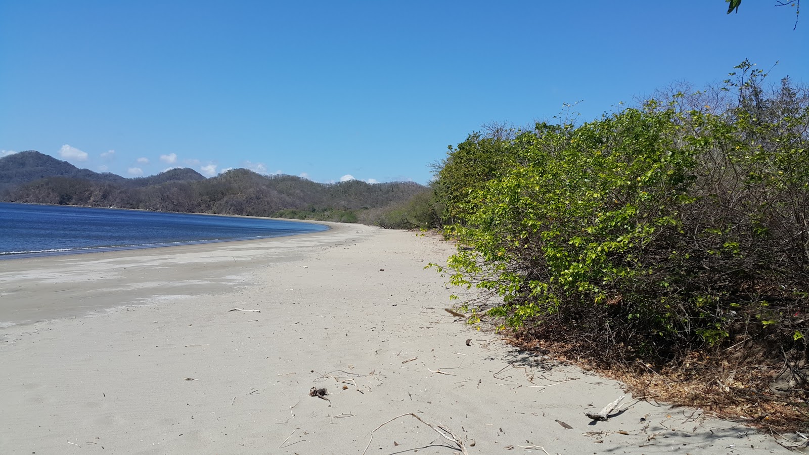 Colorada beach的照片 带有碧绿色水表面