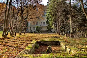 Pałacyk Trzcińsko image