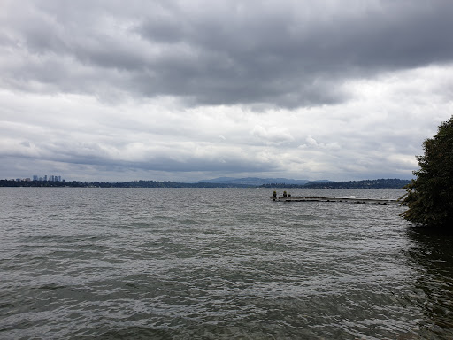Park «Viretta Park», reviews and photos, 151 Lake Washington Blvd E, Seattle, WA 98112, USA