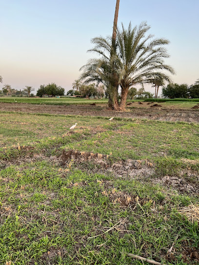 مزرع الشيخ عثمان
