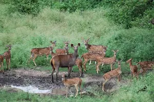 Indravati National Park image