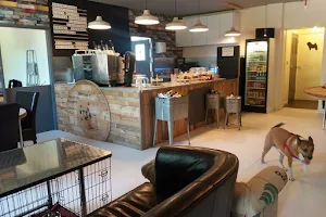 the doghouse coffee lounge image