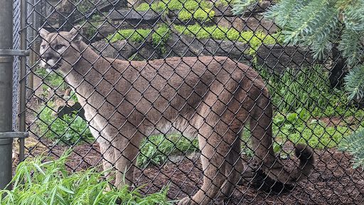 Zoo «ZooAmerica North American Wildlife Park», reviews and photos, 201 Park Avenue, Hershey, PA 17033, USA