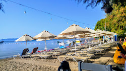 Dalga beach'in fotoğrafı çok temiz temizlik seviyesi ile