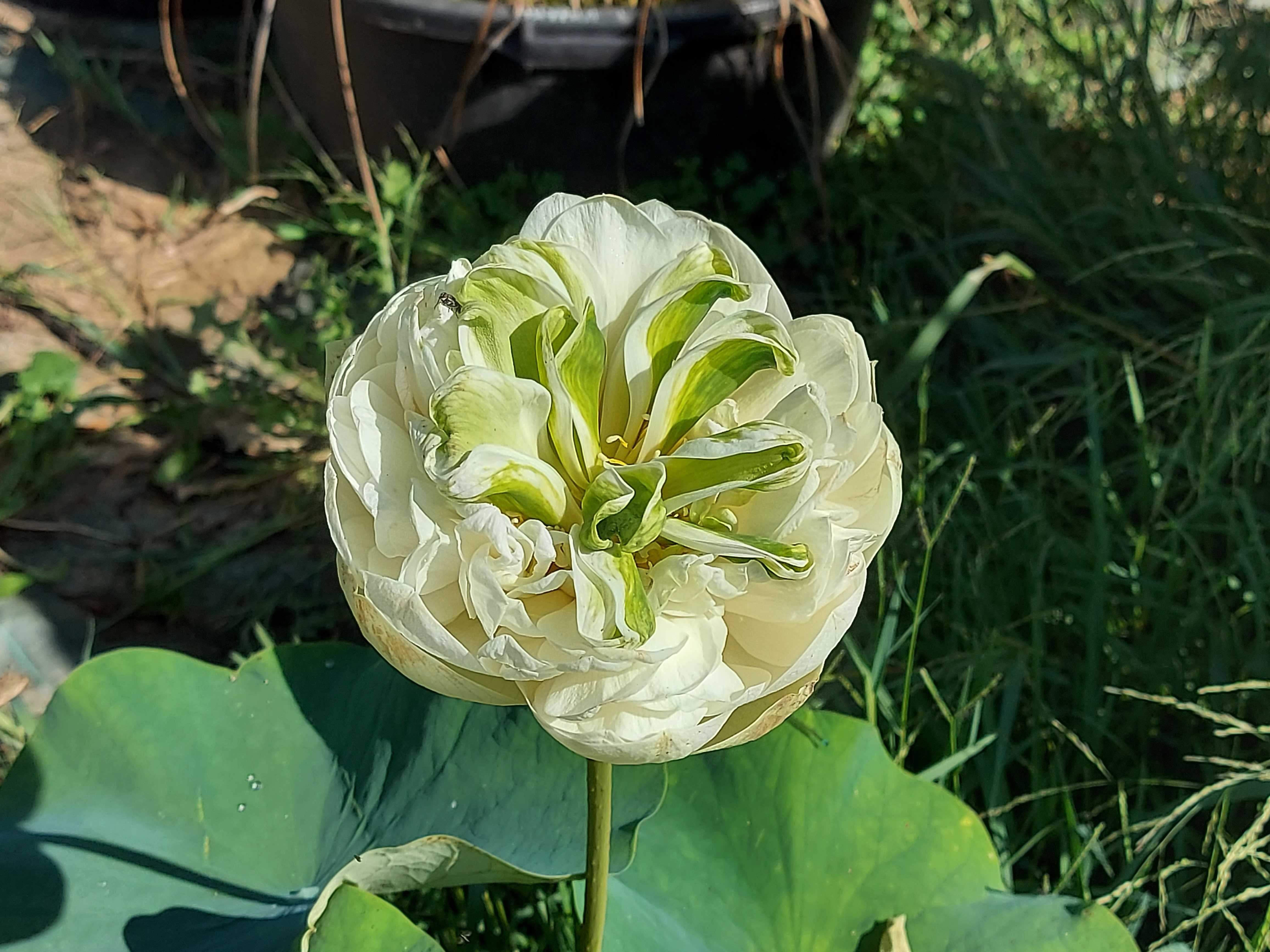 Photo n° 15 de l'avis de Brigitte.o fait le 02/09/2021 à 08:01