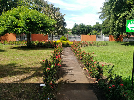 Protectoras aves Managua