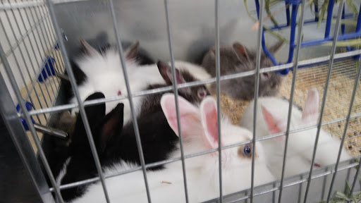 Animal Feed Store «IFA Country Stores», reviews and photos, 1071 Pioneer Rd, Draper, UT 84020, USA