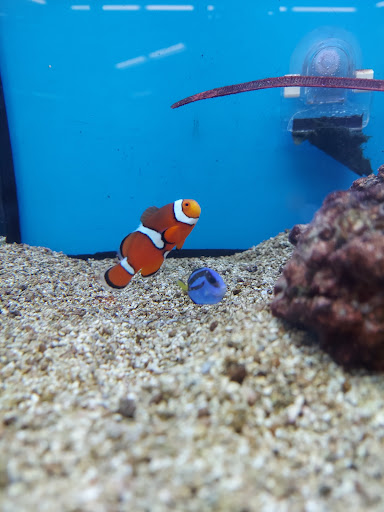 Pet Supply Store «Petco Animal Supplies», reviews and photos, 7040 Valley Creek Plaza, Woodbury, MN 55125, USA