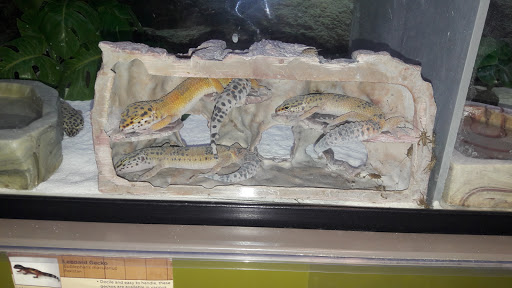 Pet Supply Store «Petco Animal Supplies», reviews and photos, 1401 E Spring Valley Rd, Richardson, TX 75081, USA