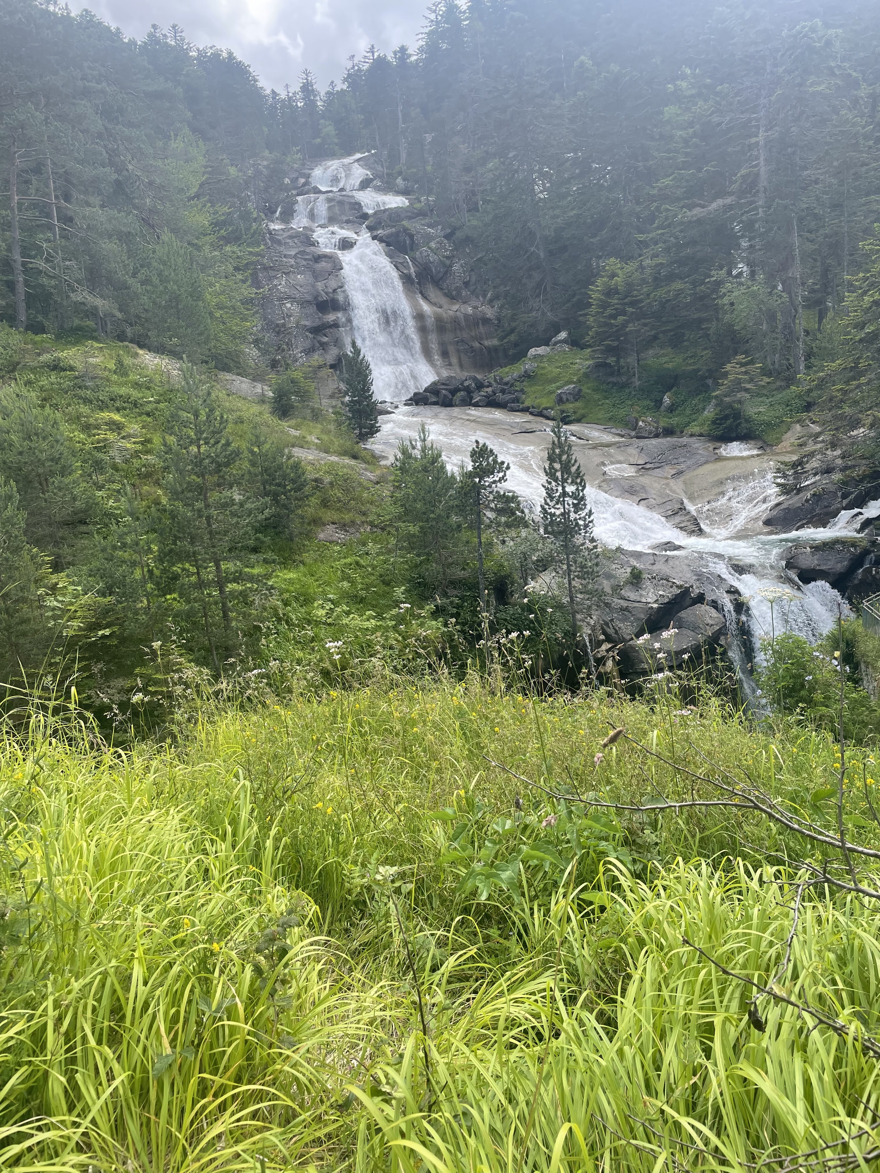 Photo n° 2 de l'avis de la.e fait le 07/07/2023 à 15:19