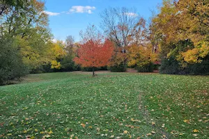 Bennett Arboretum image