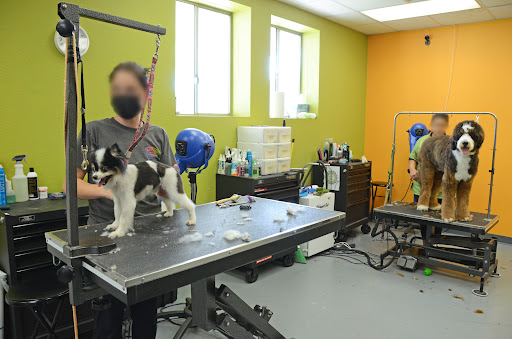 Pet Supply Store «Dog Day Afternoon», reviews and photos, 2527 Frank Scott Pkwy W, Belleville, IL 62223, USA