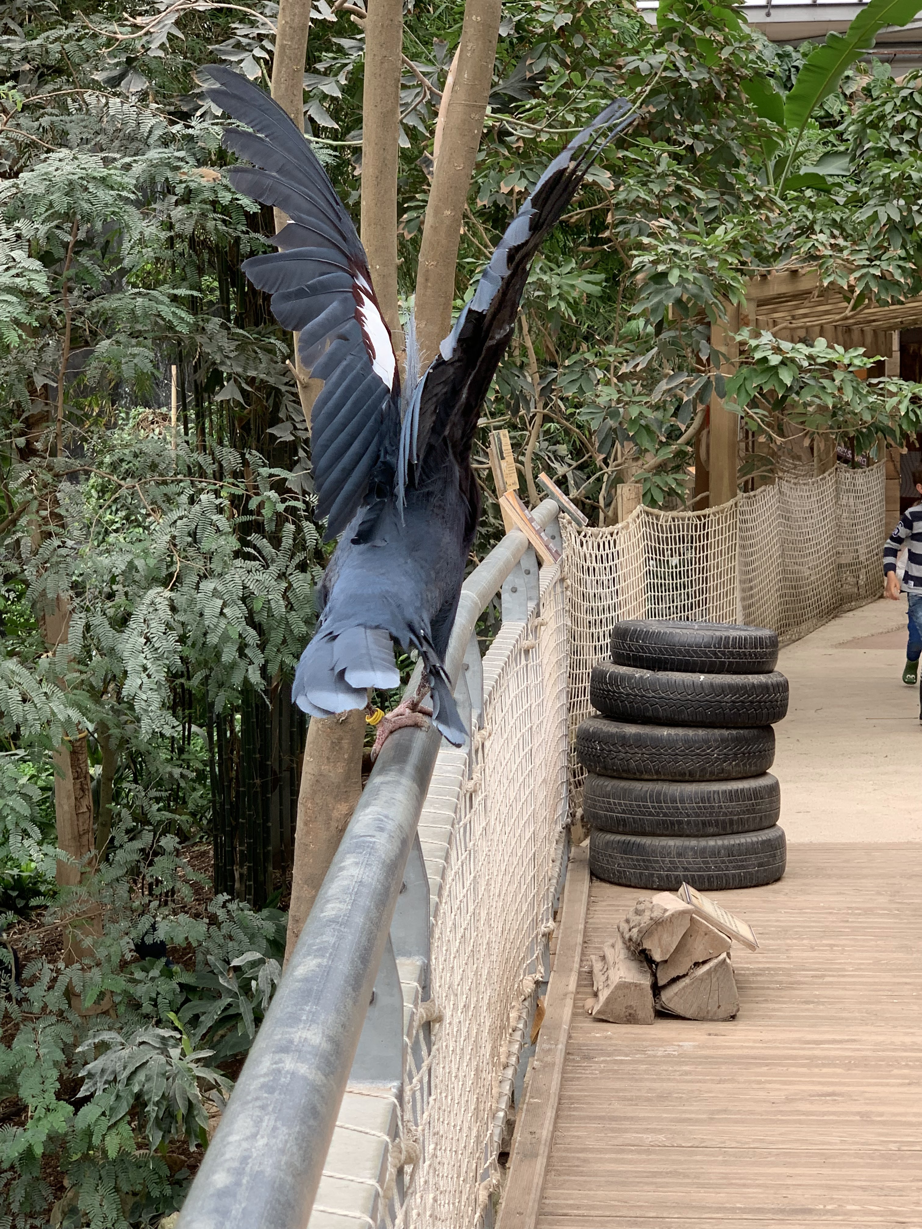 Photo n° 26 de l'avis de Angie. fait le 15/05/2019 à 11:27