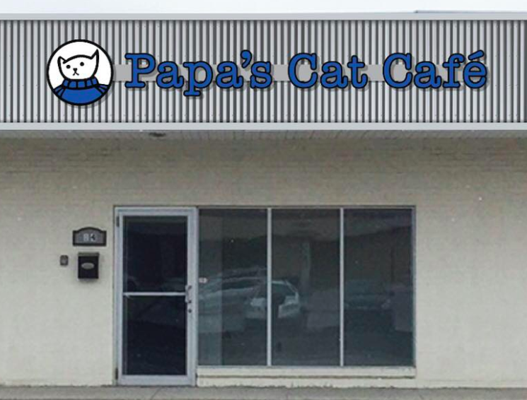Papas Cat Caf