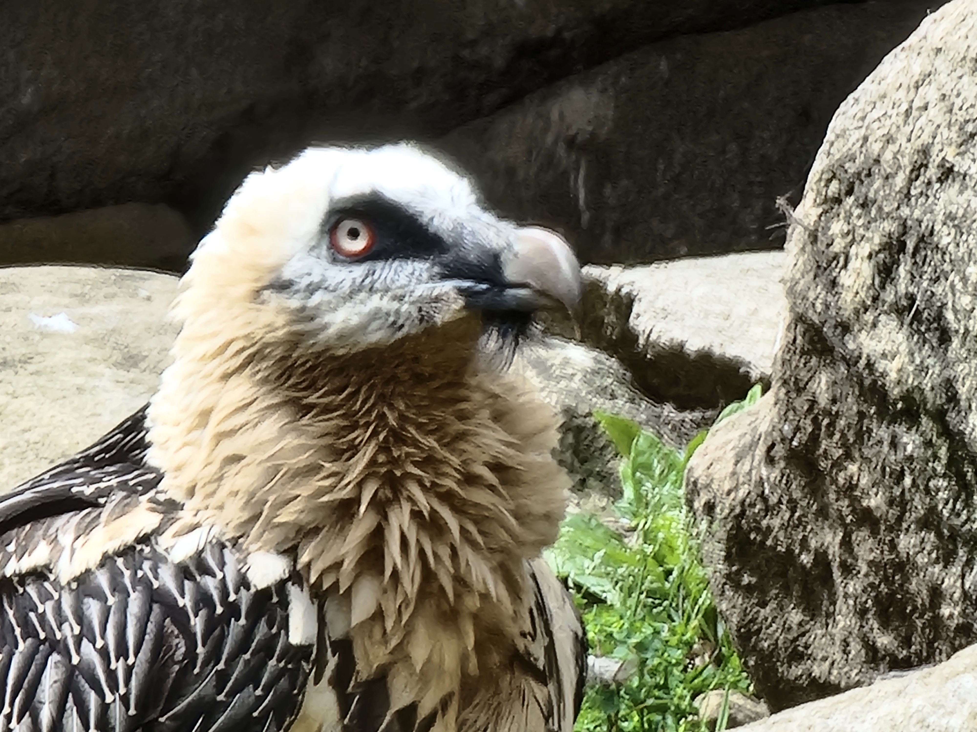 Photo n° 23 de l'avis de Noel.l fait le 12/04/2022 à 13:30