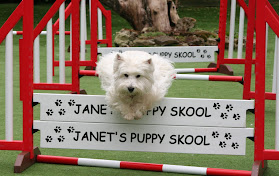Janet's Puppy Skool