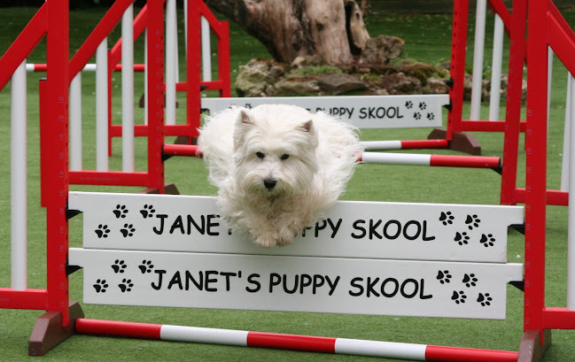 Janet's Puppy Skool