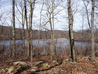 Bear Swamp Lake