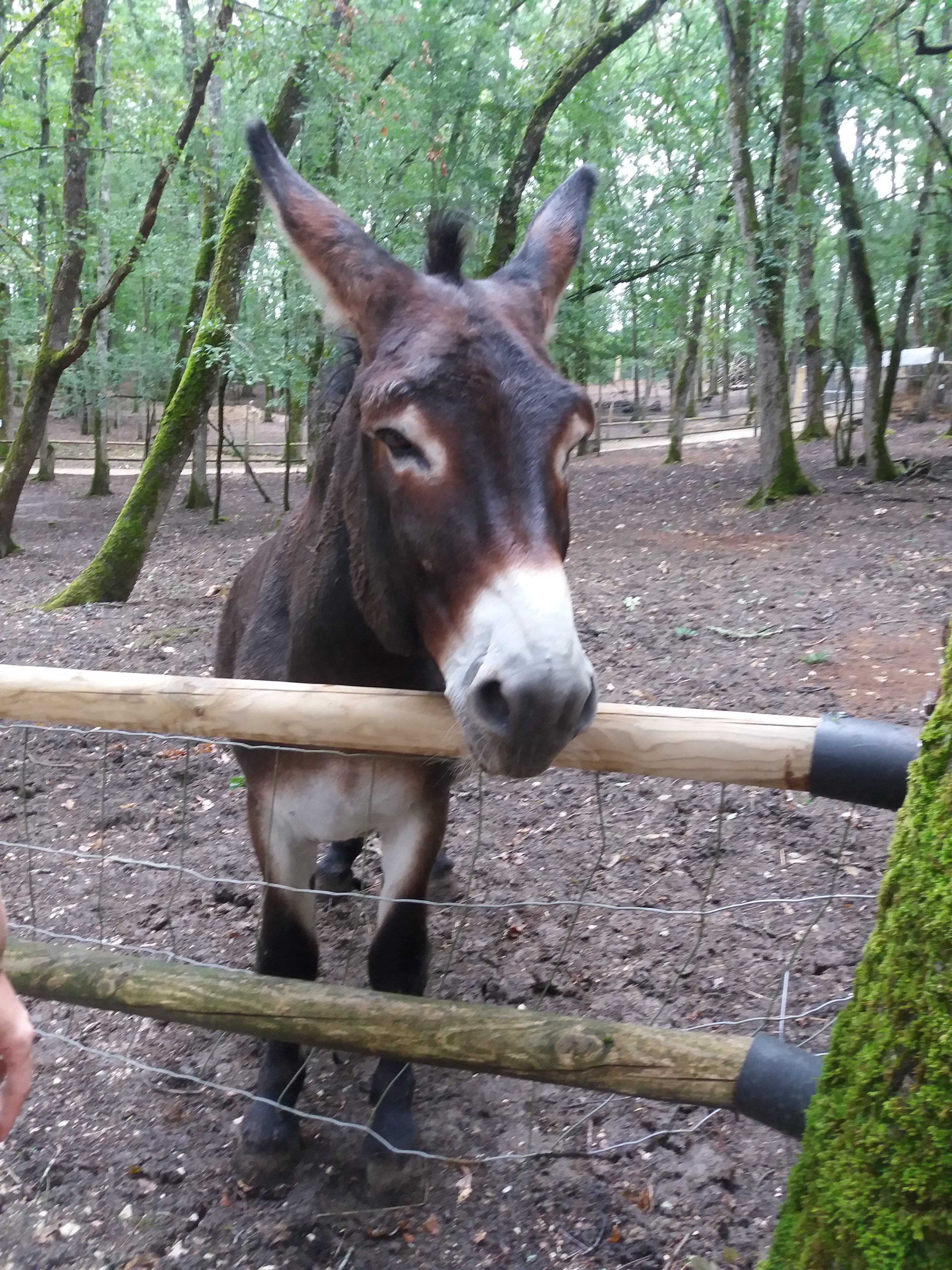Photo n° 1 de l'avis de Aline. fait le 15/08/2018 à 08:22