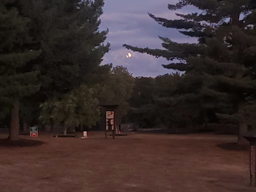 Dog Park «Thomas Bull Memorial Park», reviews and photos, 211 New York 416, Montgomery, NY 12549, USA