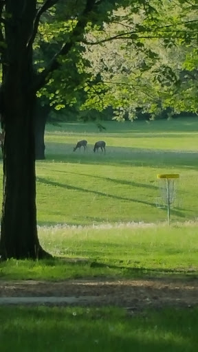 Golf Course «Dretzka Park Golf Course», reviews and photos, 12020 W Bradley Rd, Milwaukee, WI 53224, USA