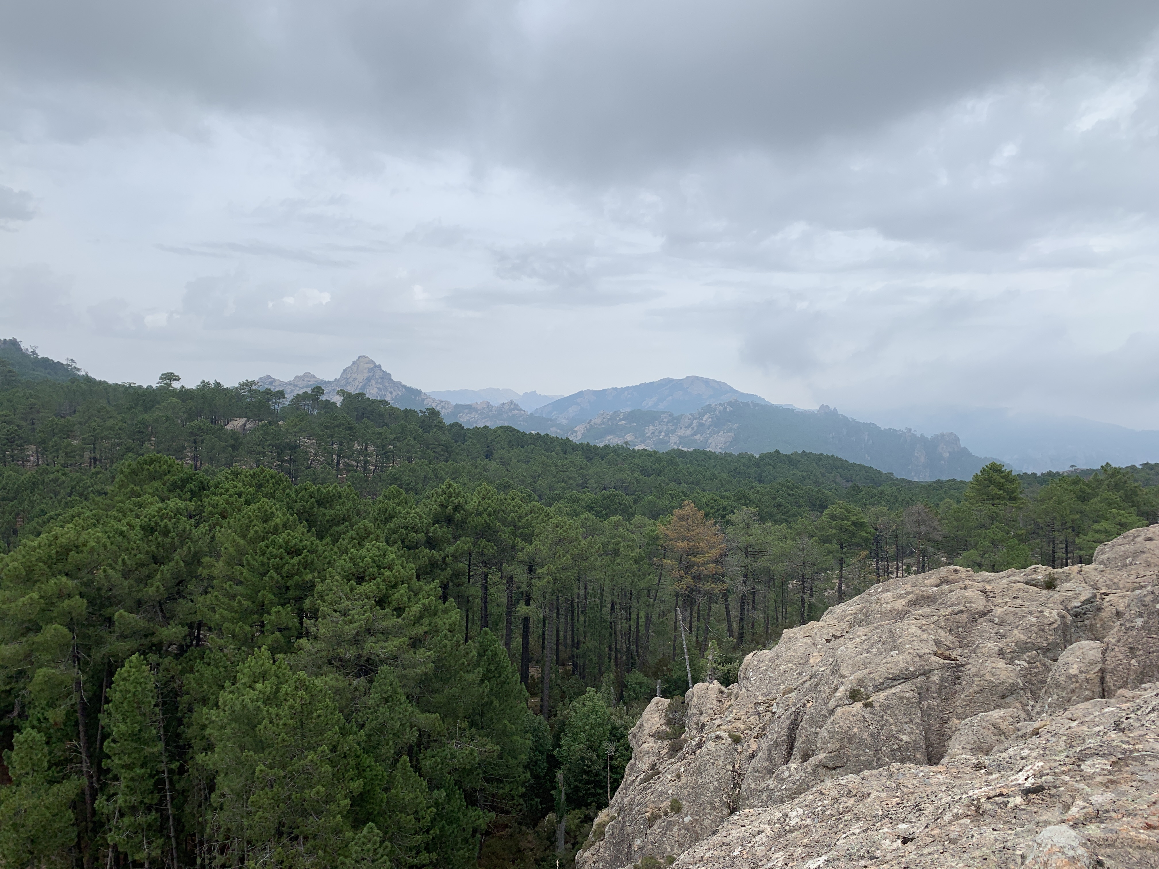Photo n° 1 de l'avis de Hanka.a fait le 18/09/2019 à 11:26