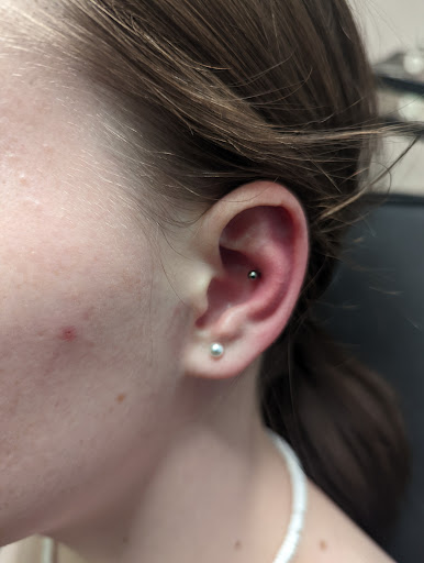 Explore silly goose tattoo ideas, creative tattoo ideas in Tooele, available at Modified piercing