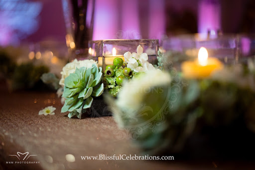 Event Planner «BLISSFUL CELEBRATIONS», reviews and photos, 401 N Bowser Rd #113, Richardson, TX 75081, USA