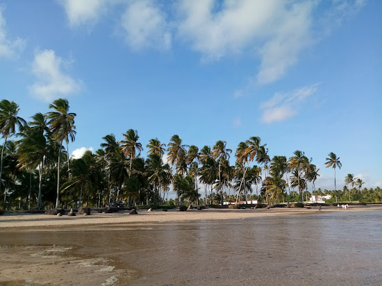 Praia de Tatuamanha