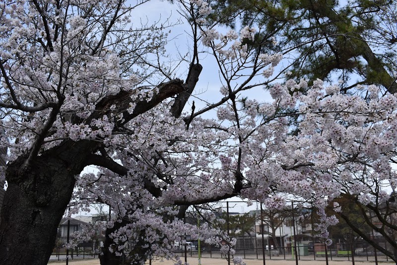 赤坂公園公衆トイレ