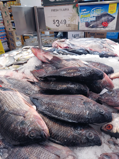 Grocery Store «Island Pacific Supermarket», reviews and photos, 11481 South St, Cerritos, CA 90703, USA