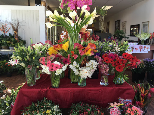 Florist «Market Garden Floral Co», reviews and photos, 1418 N Semoran Blvd #130, Orlando, FL 32807, USA