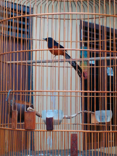 Jual Kandang Burung Jakarta Grosir dan Eceran, Pakan Ternak Organik