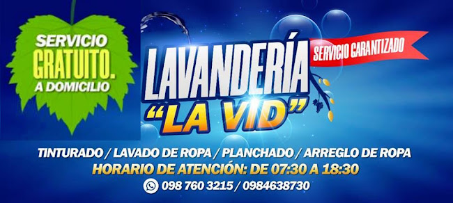 Opiniones de Lavanderia de ropa La Vid en Pedernales - Lavandería