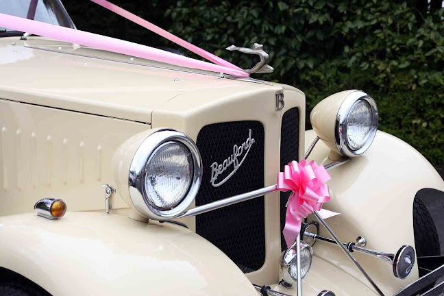 Miss Daisy's Marriage Carriage - Event Planner