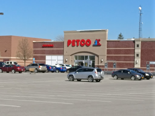Pet Supply Store «Petco Animal Supplies», reviews and photos, 4226 Veterans Memorial Dr, Batavia, NY 14020, USA