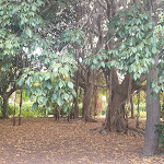 Photo n°8 de l'avis de Sandra.n fait le 06/09/2022 à 18:32 sur le  Mangia’s Brucoli, Sicily, Autograph Collection à Brucoli