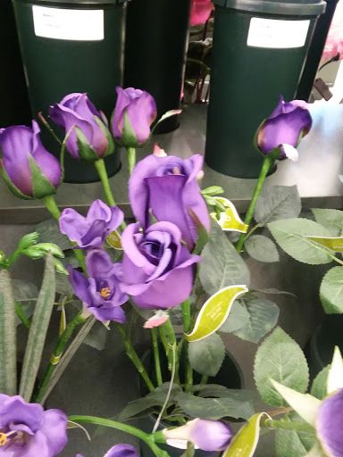 Craft Store «Hobby Lobby», reviews and photos, 3219 Watermill Dr, Burlington, NC 27215, USA