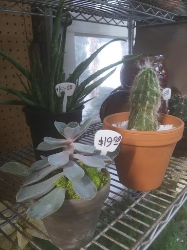 Florist «Sunshine Flowers», reviews and photos, 4509 Rainbow Blvd, Kansas City, KS 66103, USA